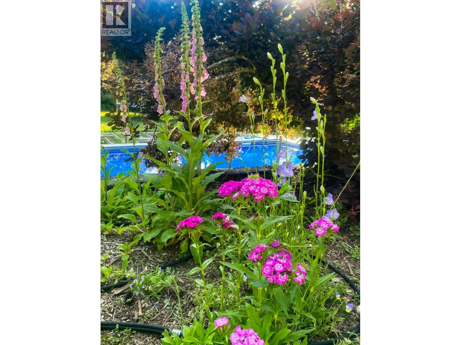 375 Alexander Road, Nakusp, British Columbia  V0G 1R1 - Photo 25 - 10379477