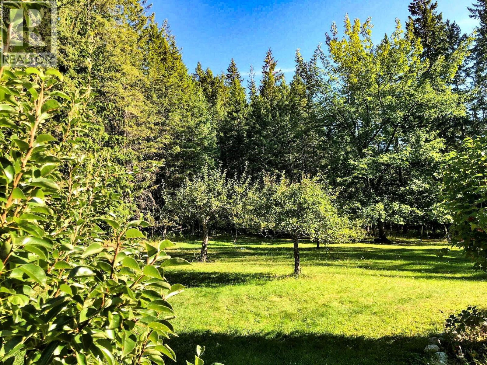 375 Alexander Road, Nakusp, British Columbia  V0G 1R1 - Photo 27 - 10379477