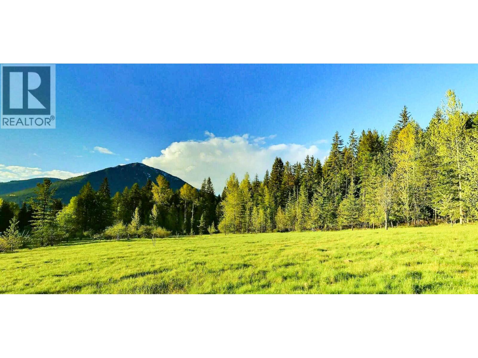 375 Alexander Road, Nakusp, British Columbia  V0G 1R1 - Photo 40 - 10379477