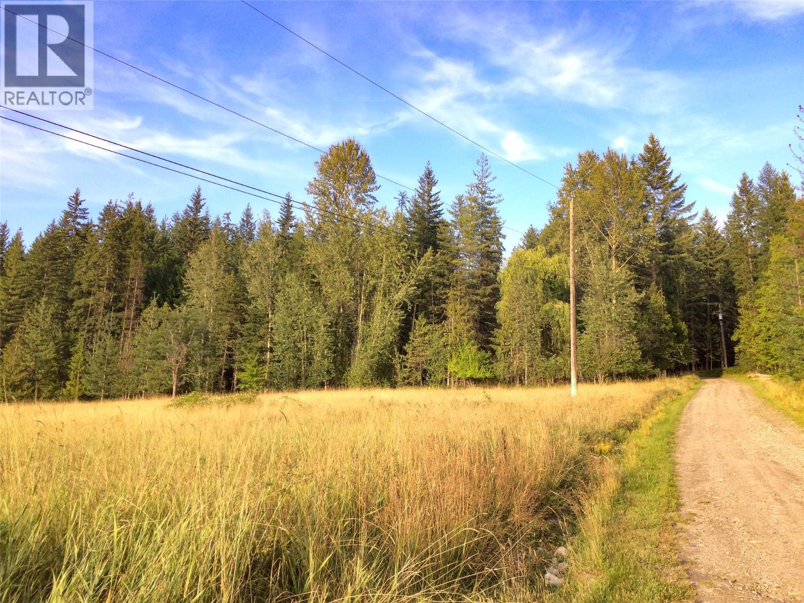 375 Alexander Road, Nakusp, British Columbia  V0G 1R1 - Photo 41 - 10379477