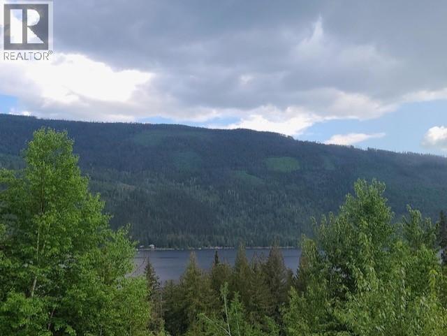7540 Russell Creek Forest Service Road Lot# 70, Barriere, British Columbia  V0E 1E0 - Photo 8 - 10379421