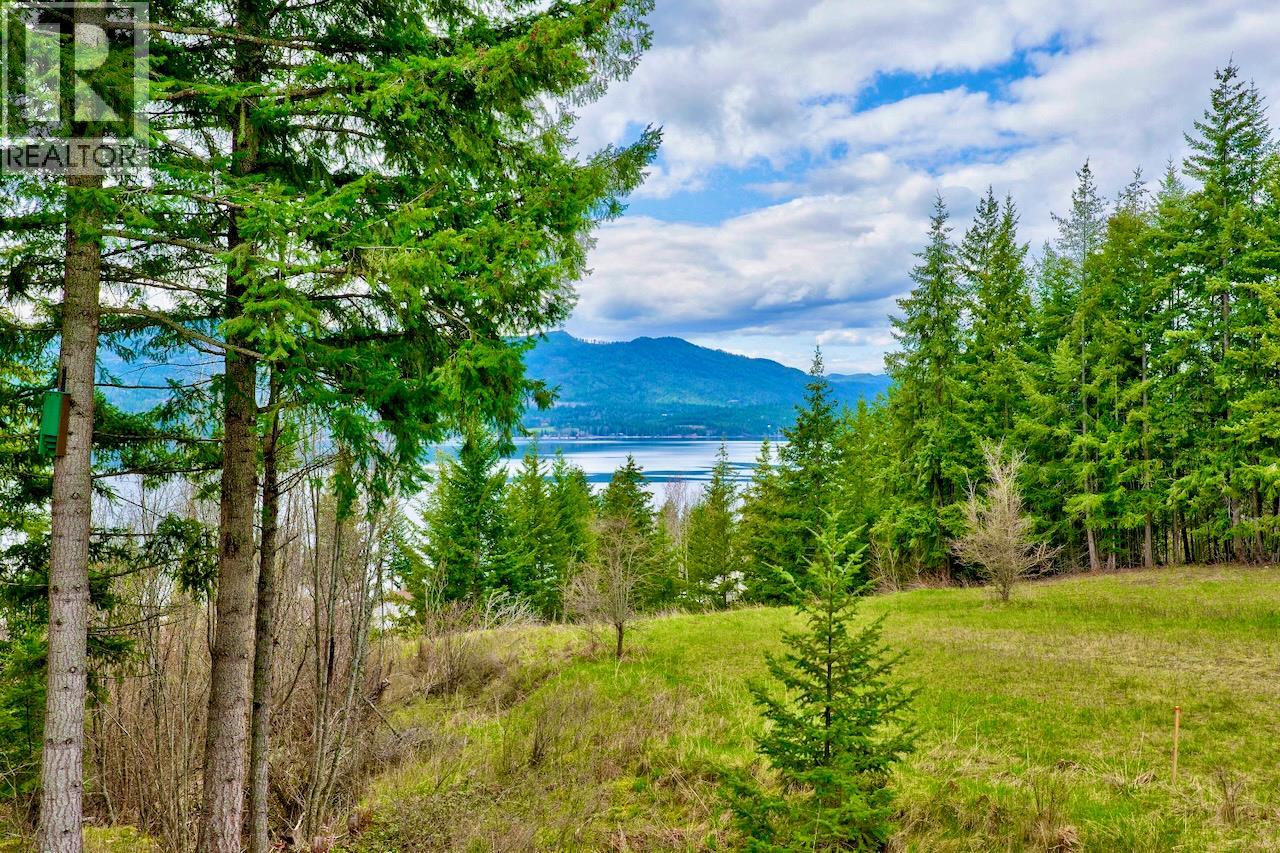 2589 Airstrip Road, Anglemont, British Columbia  V0E 1M8 - Photo 40 - 10379619
