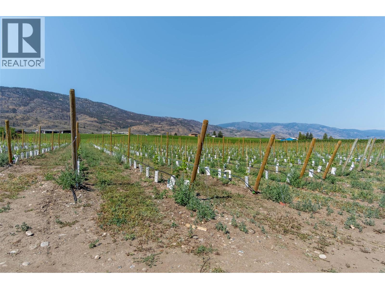 8901 92nd Avenue, Osoyoos, British Columbia  V0H 1V2 - Photo 28 - 10379706