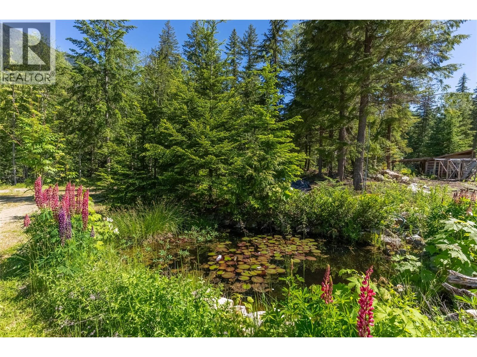 1415 Seymour River Road N, Seymour Arm, British Columbia  V0E 1M0 - Photo 41 - 10379634