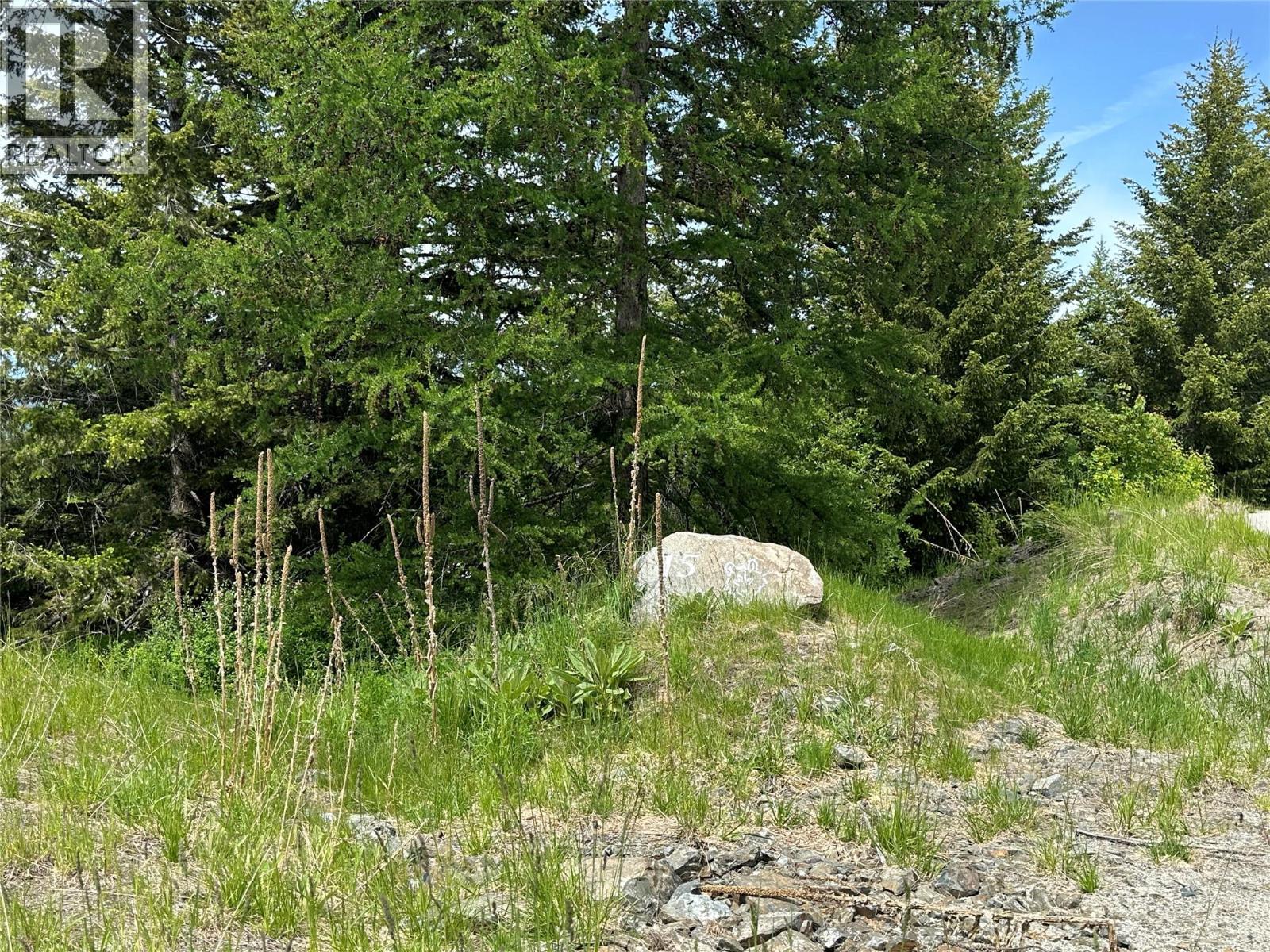 1333 Timberwolf Trail, Bridesville, British Columbia  V0H 1Y0 - Photo 11 - 10379626