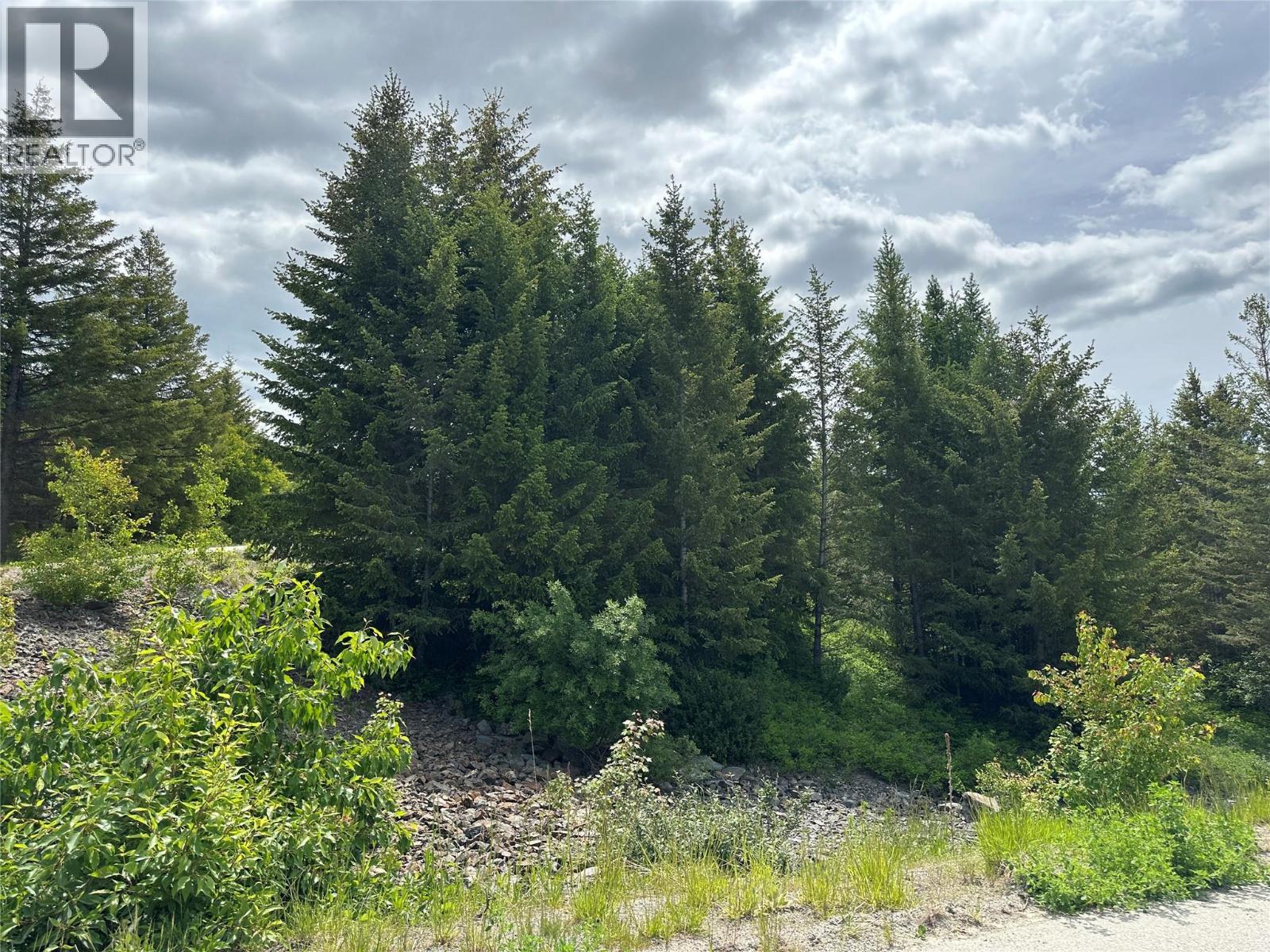 1333 Timberwolf Trail, Bridesville, British Columbia  V0H 1Y0 - Photo 13 - 10379626
