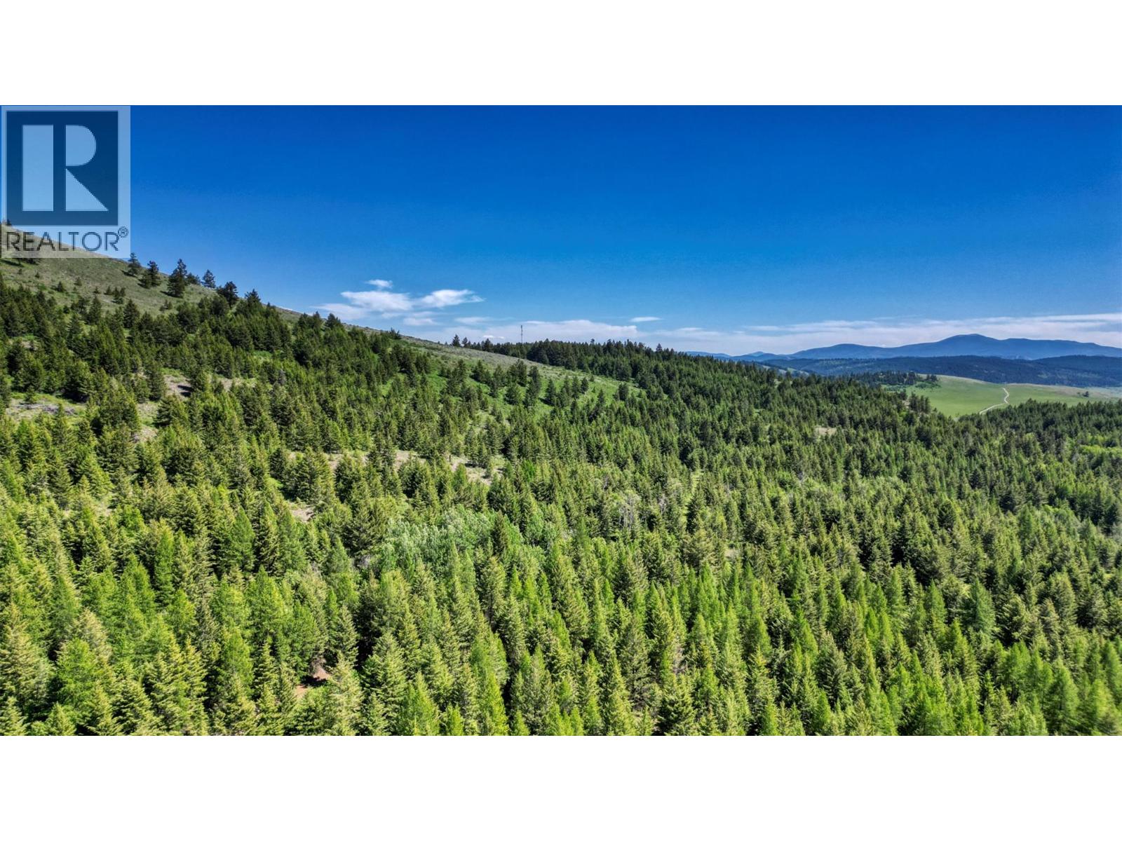 1333 Timberwolf Trail, Bridesville, British Columbia  V0H 1Y0 - Photo 4 - 10379626