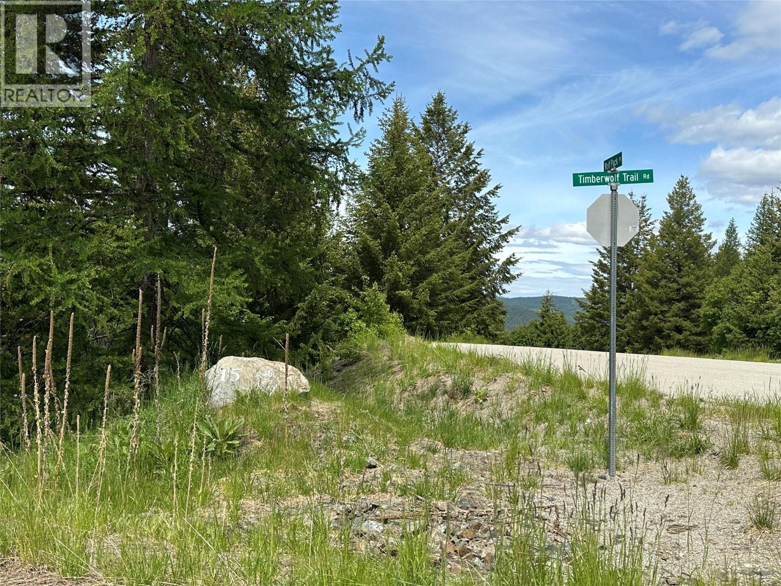 1333 Timberwolf Trail, Bridesville, British Columbia  V0H 1Y0 - Photo 9 - 10379626