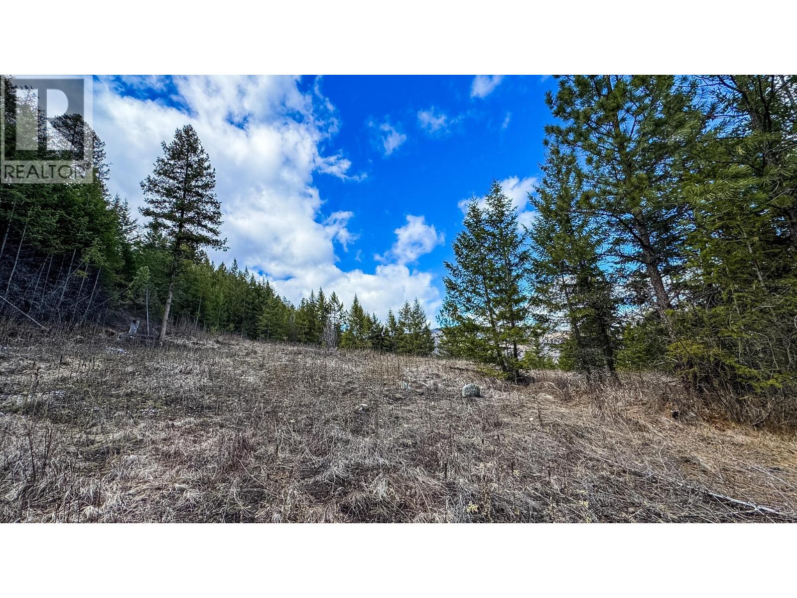 Dl 862 3 Highway, Rock Creek, British Columbia  V0H 1Y0 - Photo 10 - 10379492