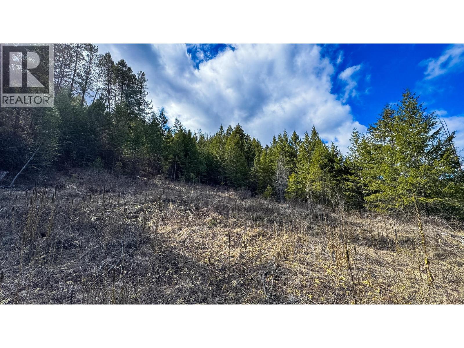 Dl 862 3 Highway, Rock Creek, British Columbia  V0H 1Y0 - Photo 11 - 10379492