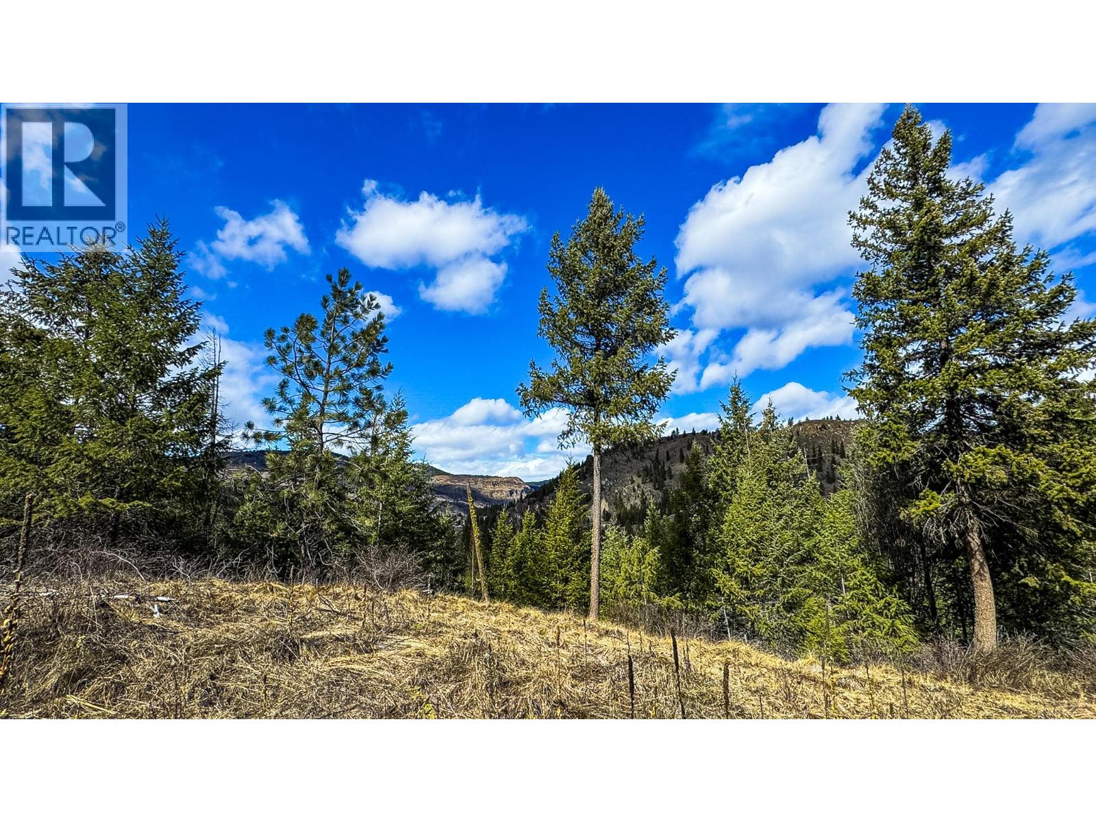 Dl 862 3 Highway, Rock Creek, British Columbia  V0H 1Y0 - Photo 12 - 10379492