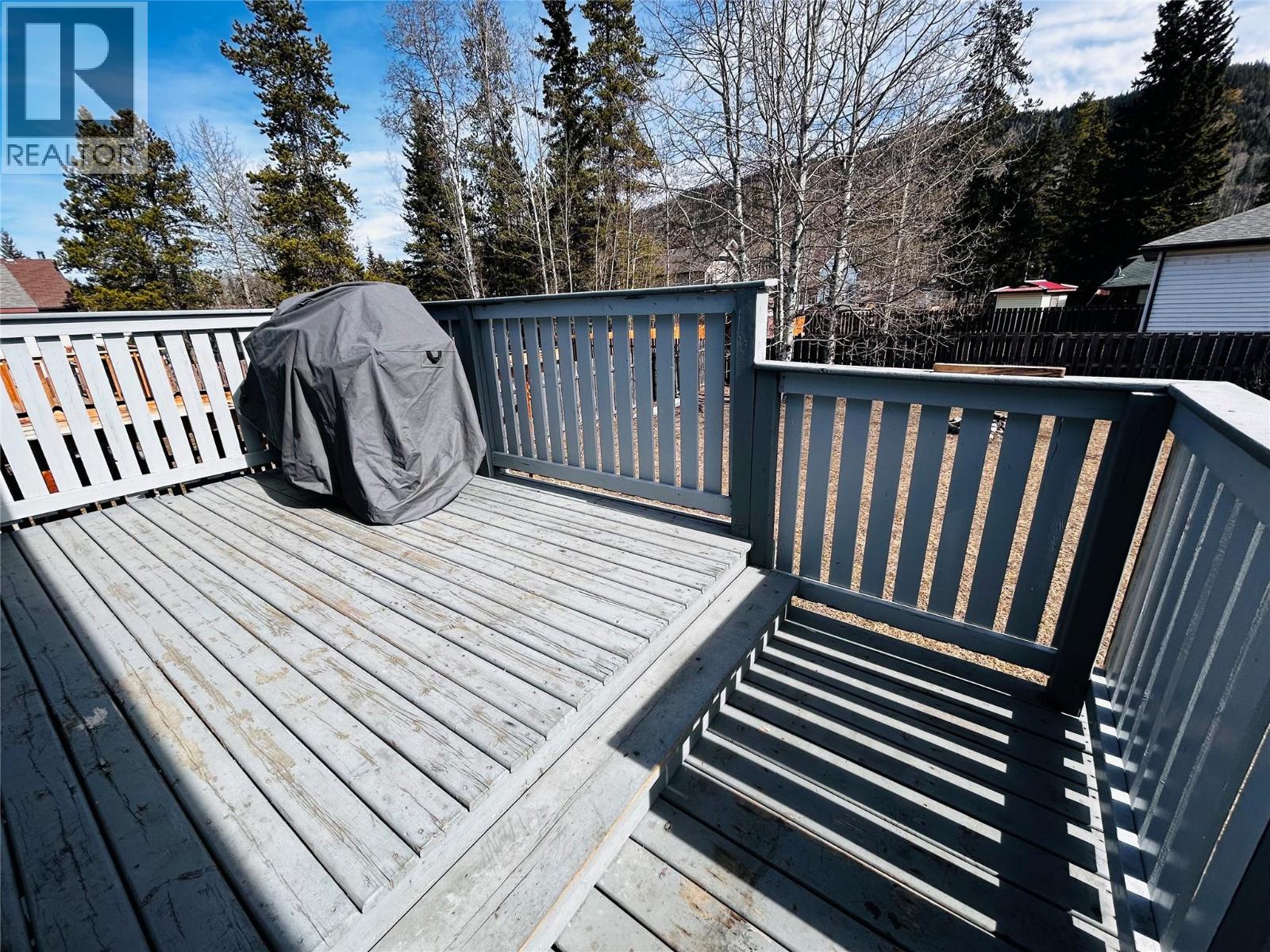 116 Wolverine Avenue, Tumbler Ridge, British Columbia  V0C 2W0 - Photo 20 - 10379747