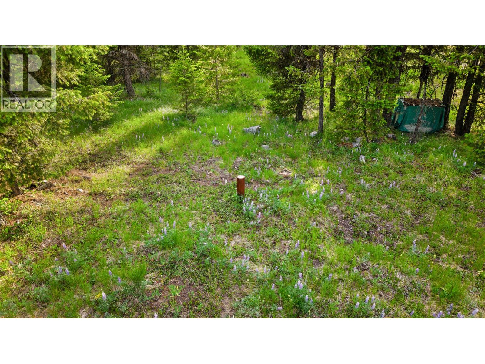 701 Raven Hill Road Lot# 11, Osoyoos, British Columbia  V0H 1V6 - Photo 8 - 10378068