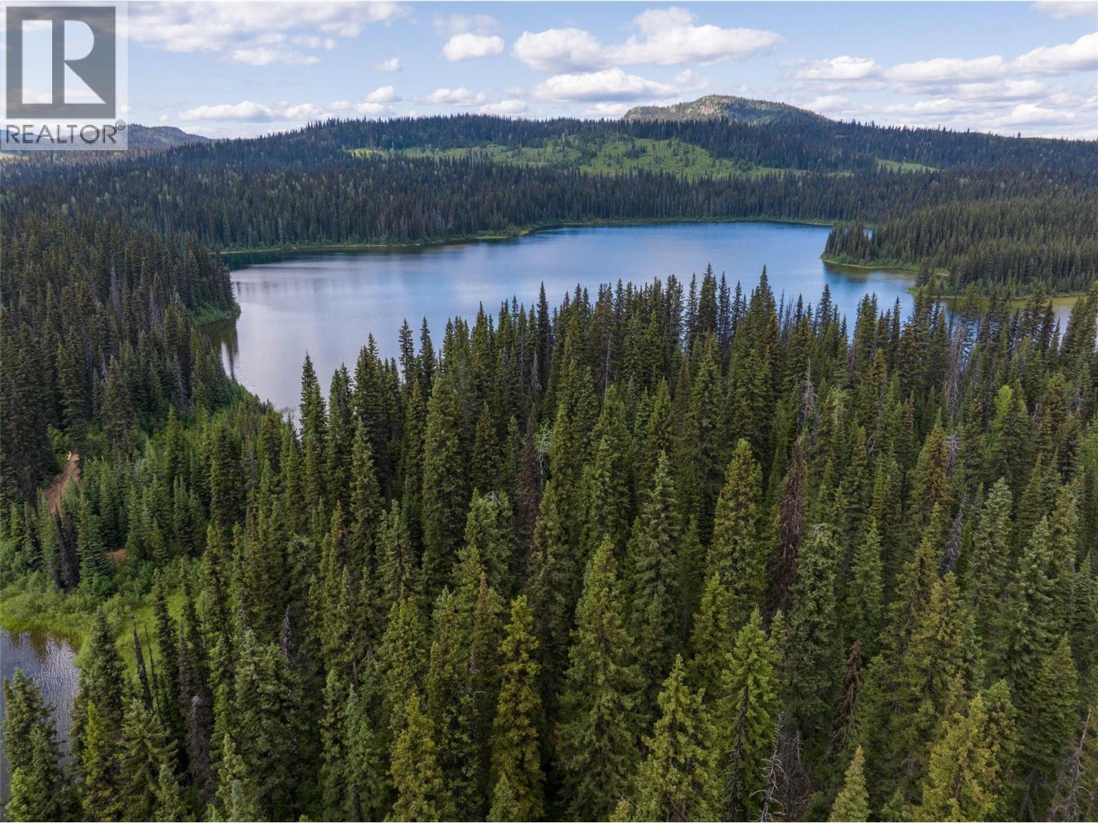 Taweel Lake Road, Little Fort, British Columbia  V0E 2C0 - Photo 38 - 10380008