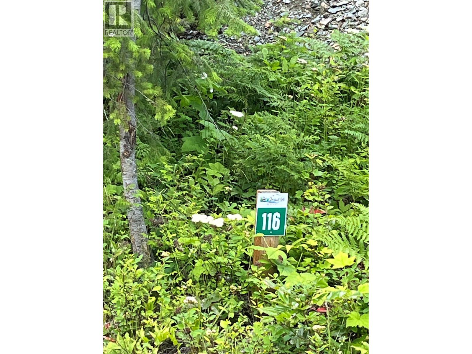 5363 Squilax-Anglemont Road Lot# 116, Celista, British Columbia  V0E 1M6 - Photo 5 - 10379934