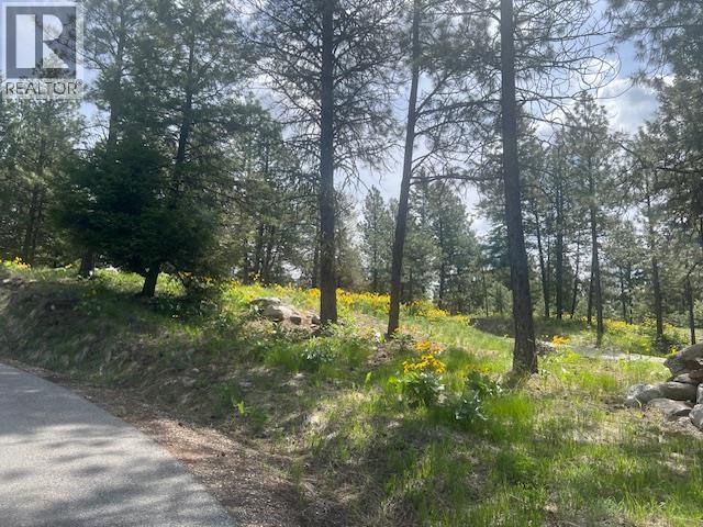 280 Sasquatch Trail Lot# Lot 13, Osoyoos, British Columbia  V0H 1V6 - Photo 15 - 10379995