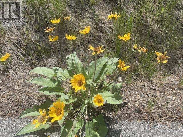 280 Sasquatch Trail Lot# Lot 13, Osoyoos, British Columbia  V0H 1V6 - Photo 16 - 10379995