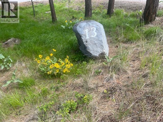 280 Sasquatch Trail Lot# Lot 13, Osoyoos, British Columbia  V0H 1V6 - Photo 17 - 10379995