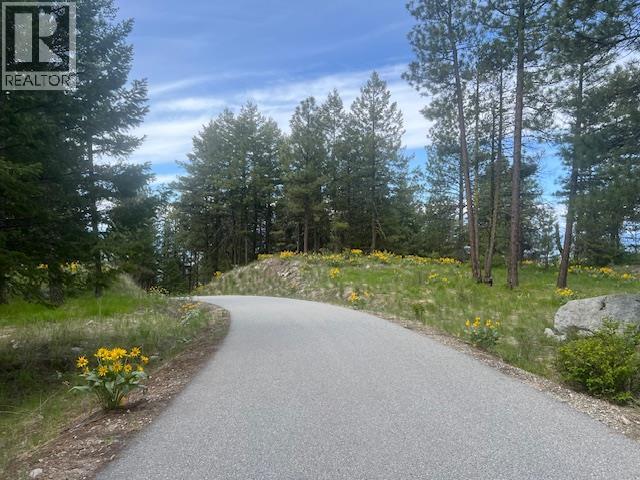 280 Sasquatch Trail Lot# Lot 13, Osoyoos, British Columbia  V0H 1V6 - Photo 5 - 10379995