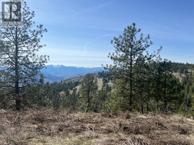 105 Falcon Place Unit# Lot 1, Osoyoos, British Columbia  V0H 1V5 - Photo 5 - 10380033