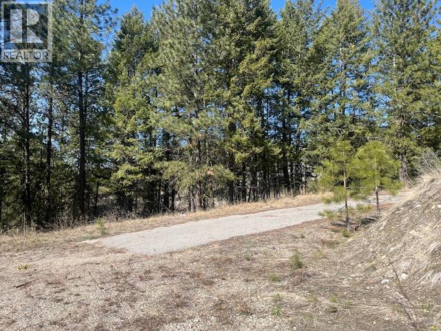 105 Falcon Place Unit# Lot 1, Osoyoos, British Columbia  V0H 1V5 - Photo 6 - 10380033