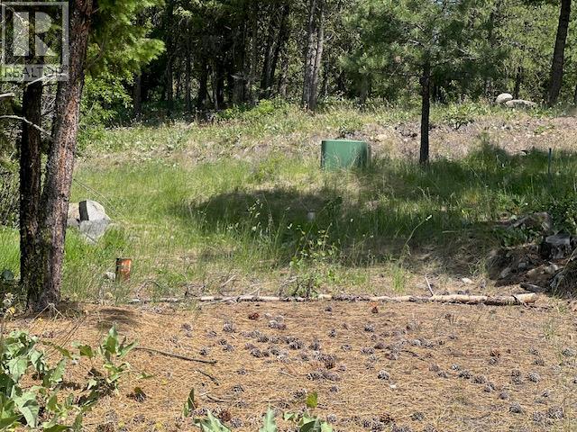 240 Sasquatch Trail Lot# 9, Osoyoos, British Columbia  V0H 1V6 - Photo 10 - 10379986
