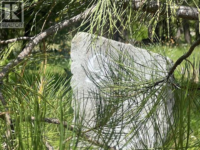 240 Sasquatch Trail Lot# 9, Osoyoos, British Columbia  V0H 1V6 - Photo 12 - 10379986