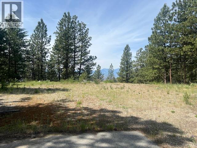 240 Sasquatch Trail Lot# 9, Osoyoos, British Columbia  V0H 1V6 - Photo 4 - 10379986