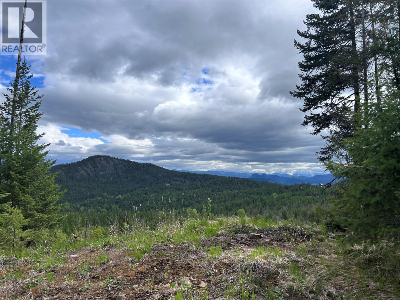650 Bluenose Road, Vernon, British Columbia  V1B 3E7 - Photo 84 - 10378524