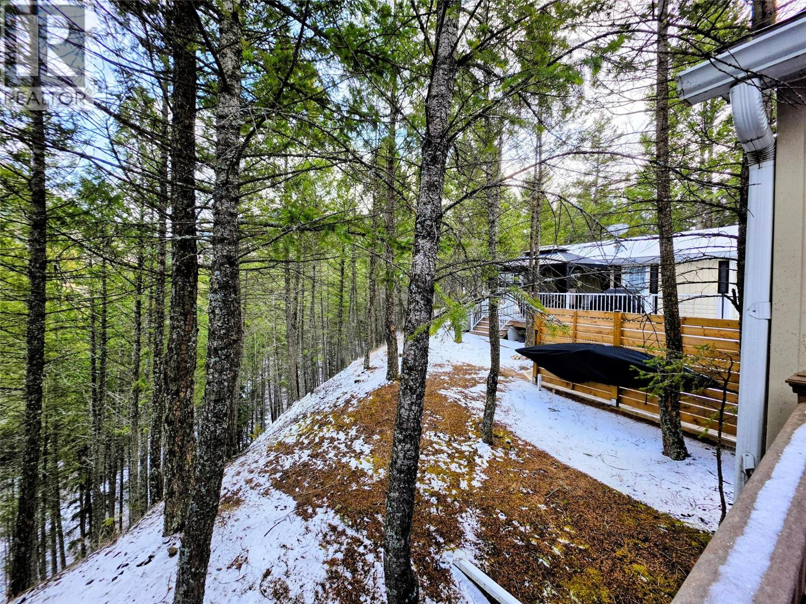 4856 Lynx Drive, Radium Hot Springs, British Columbia  V0A 1M0 - Photo 17 - 10379097