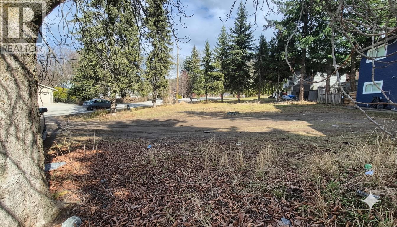 2030 1 Avenue Ne, Salmon Arm, British Columbia  V1E 1Z4 - Photo 3 - 10379572