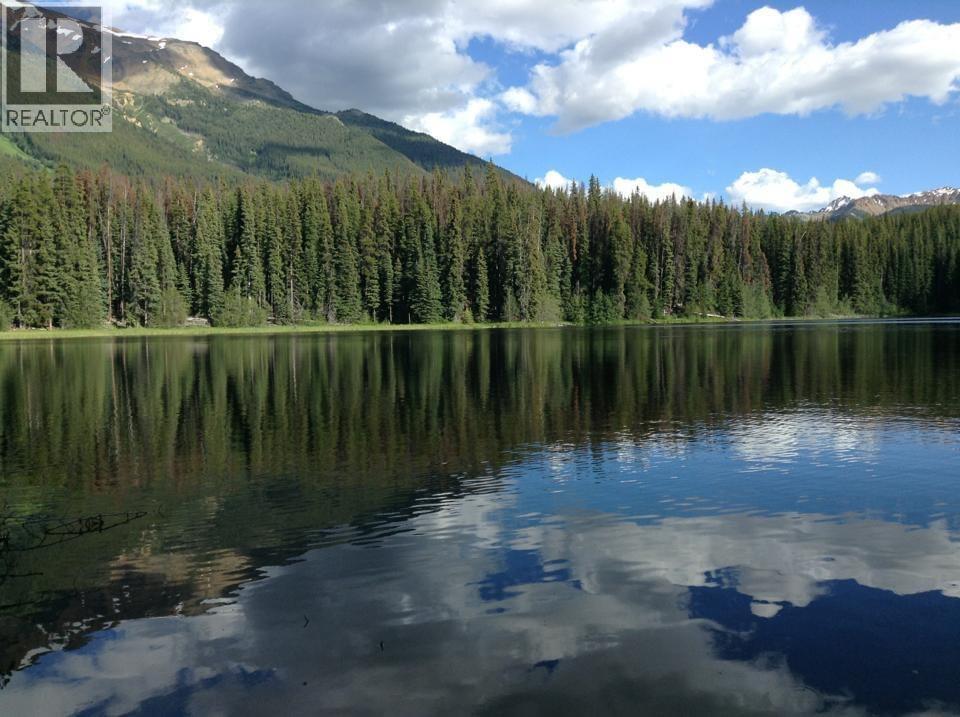 Dl 5374 Mead Lake, Bralorne, British Columbia  V0K 1P0 - Photo 2 - 10380248