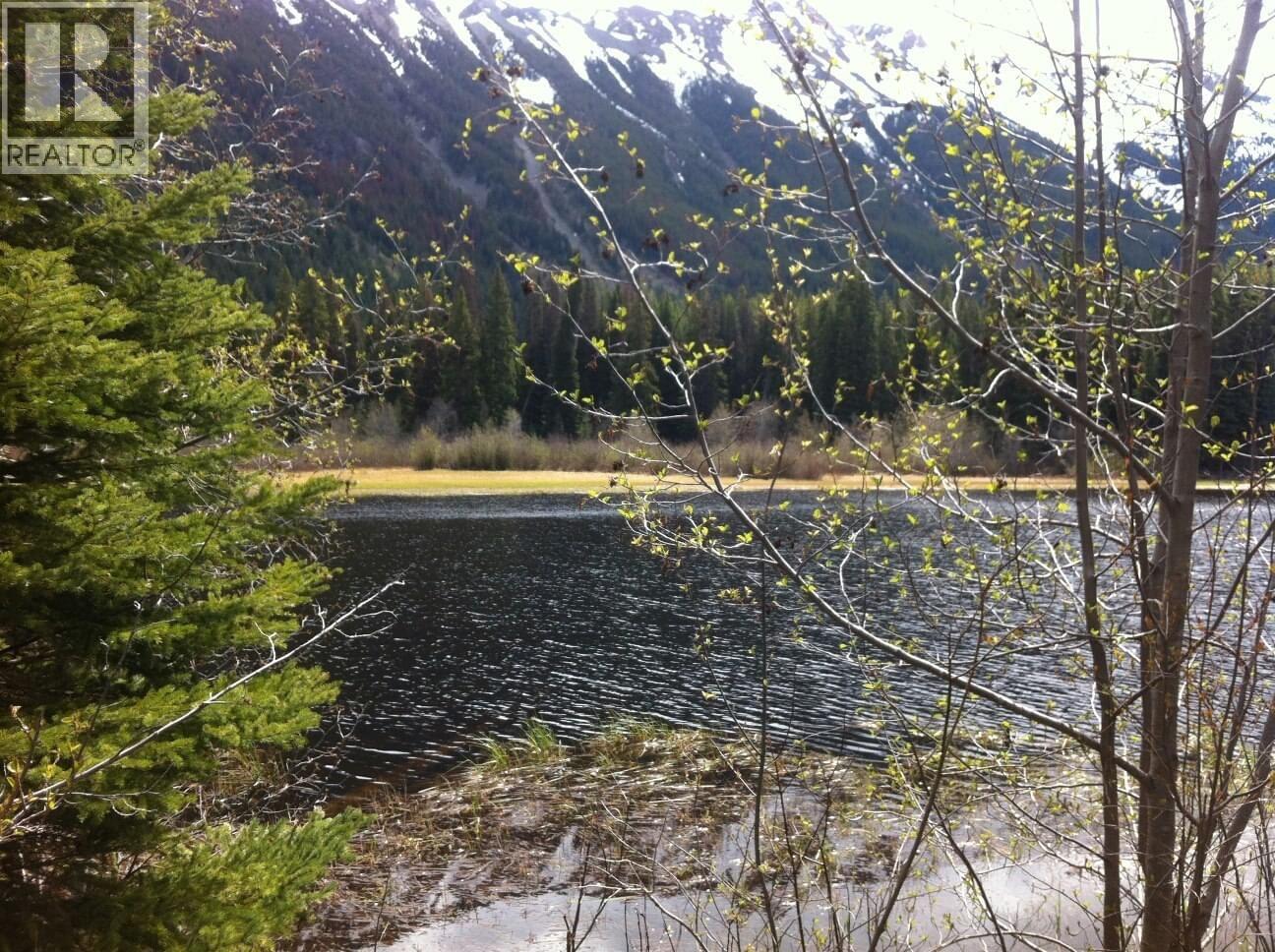 Dl 5374 Mead Lake, Bralorne, British Columbia  V0K 1P0 - Photo 4 - 10380248