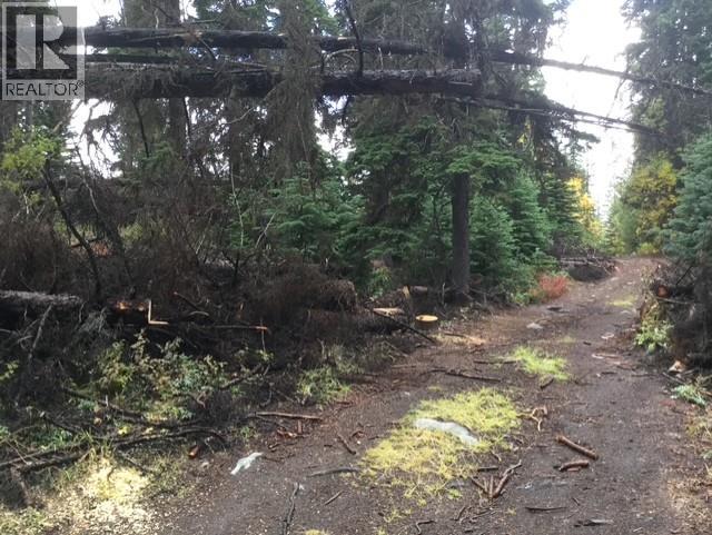 Dl 5374 Mead Lake, Bralorne, British Columbia  V0K 1P0 - Photo 7 - 10380248