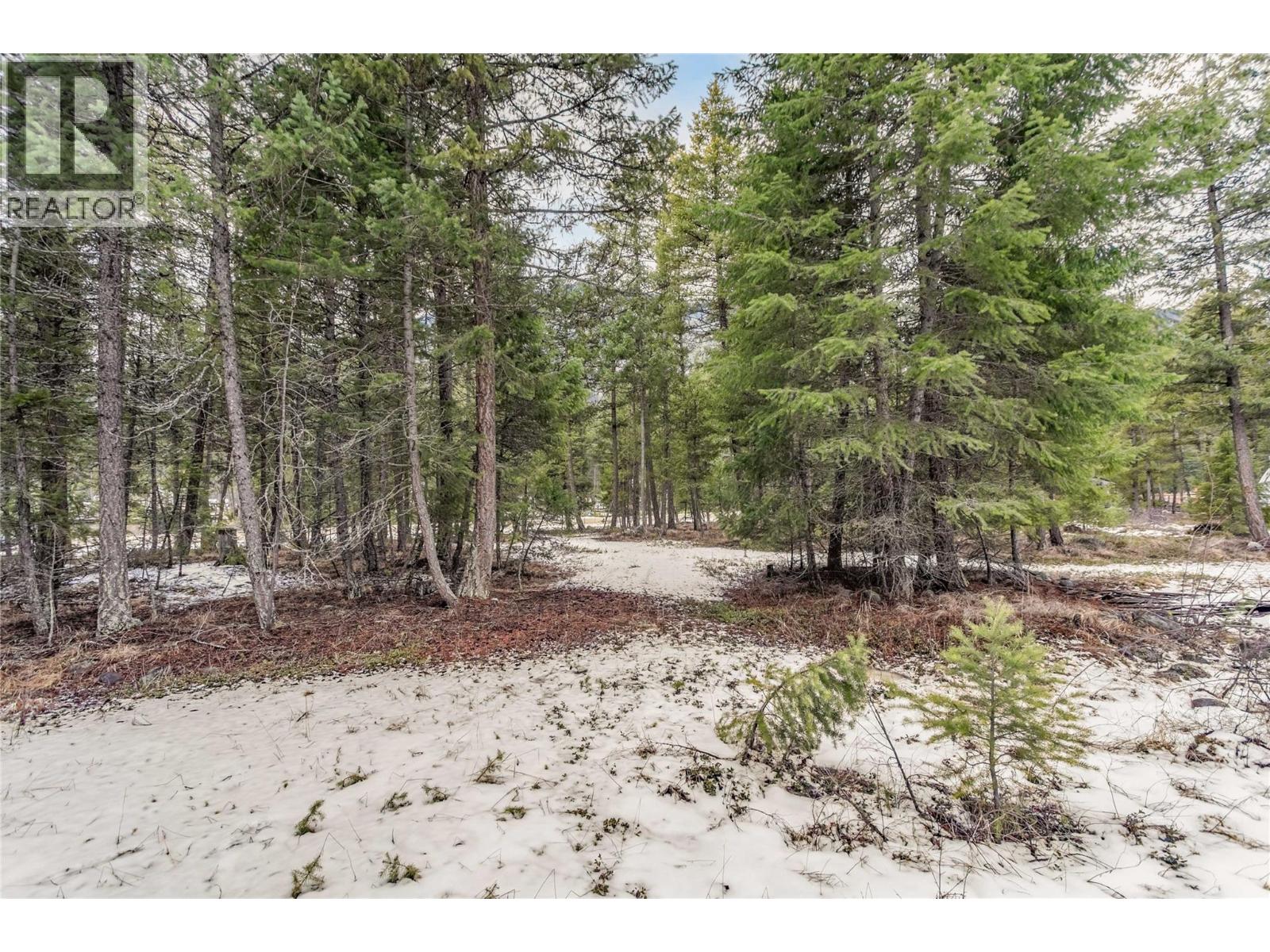 51 Pringle Road, Beaverdell, British Columbia  V0H 1A0 - Photo 12 - 10380061