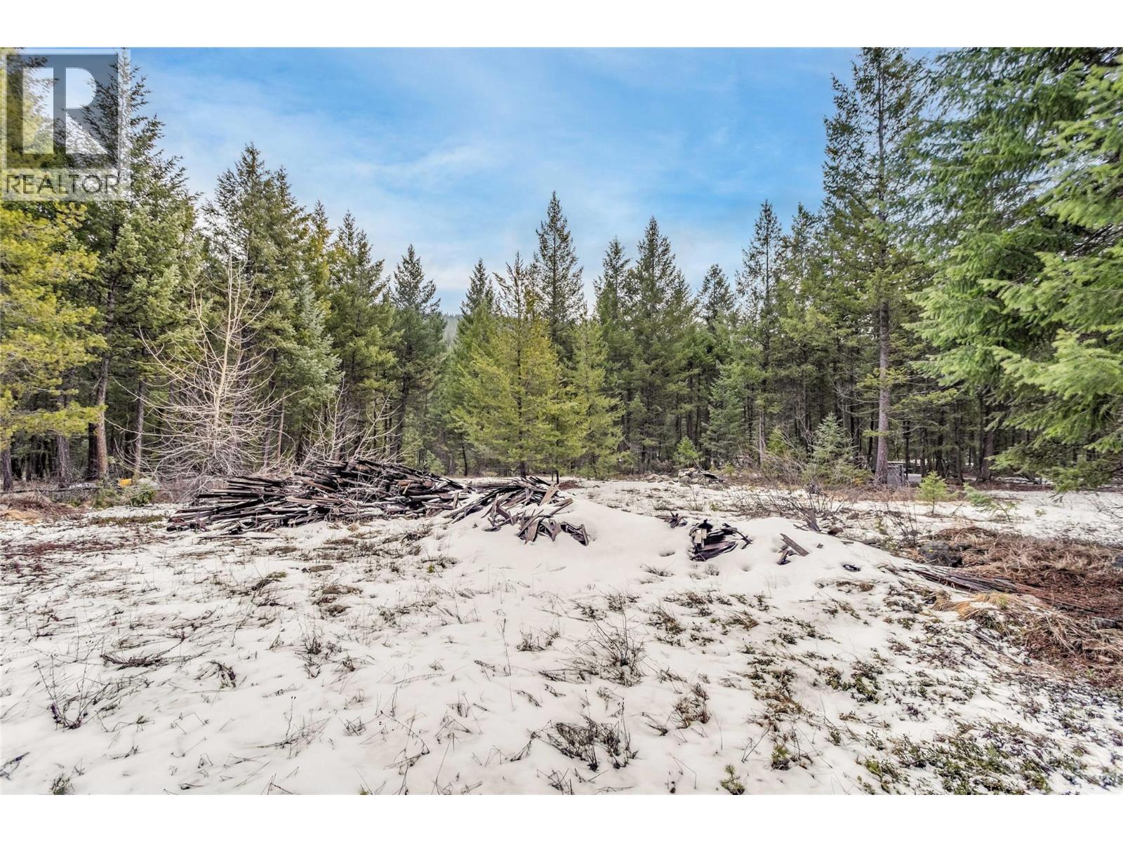 51 Pringle Road, Beaverdell, British Columbia  V0H 1A0 - Photo 14 - 10380061