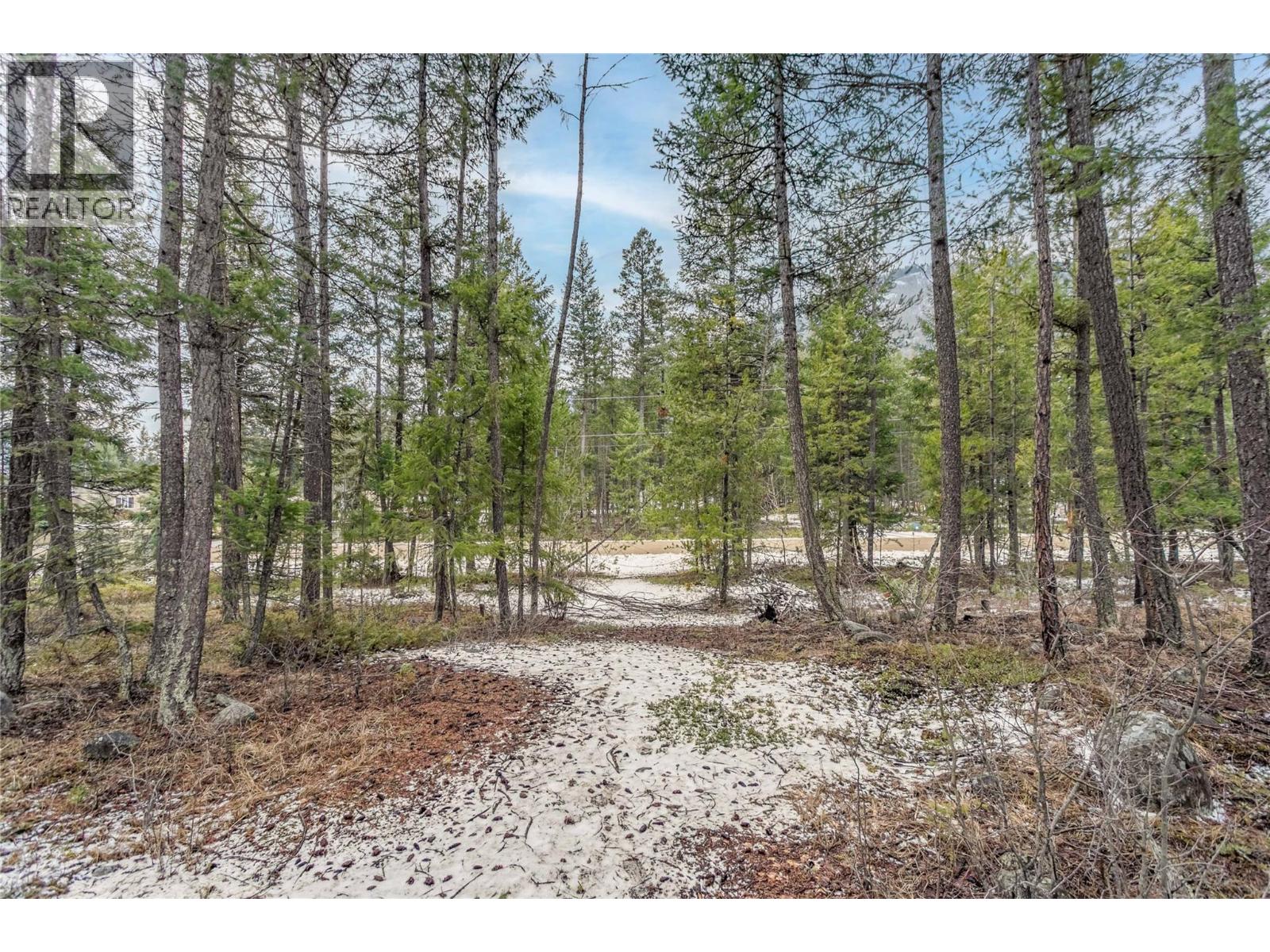 51 Pringle Road, Beaverdell, British Columbia  V0H 1A0 - Photo 16 - 10380061
