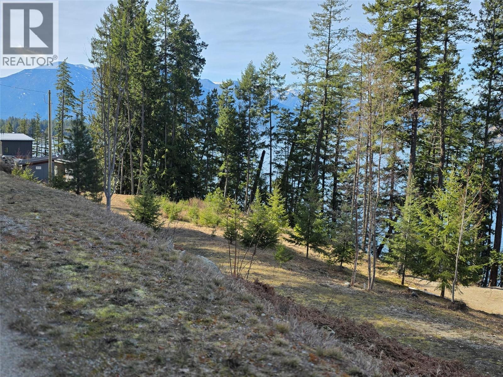 Lot 4 Walkers Lane, Kootenay Bay, British Columbia  V0B 1E0 - Photo 11 - 10380157