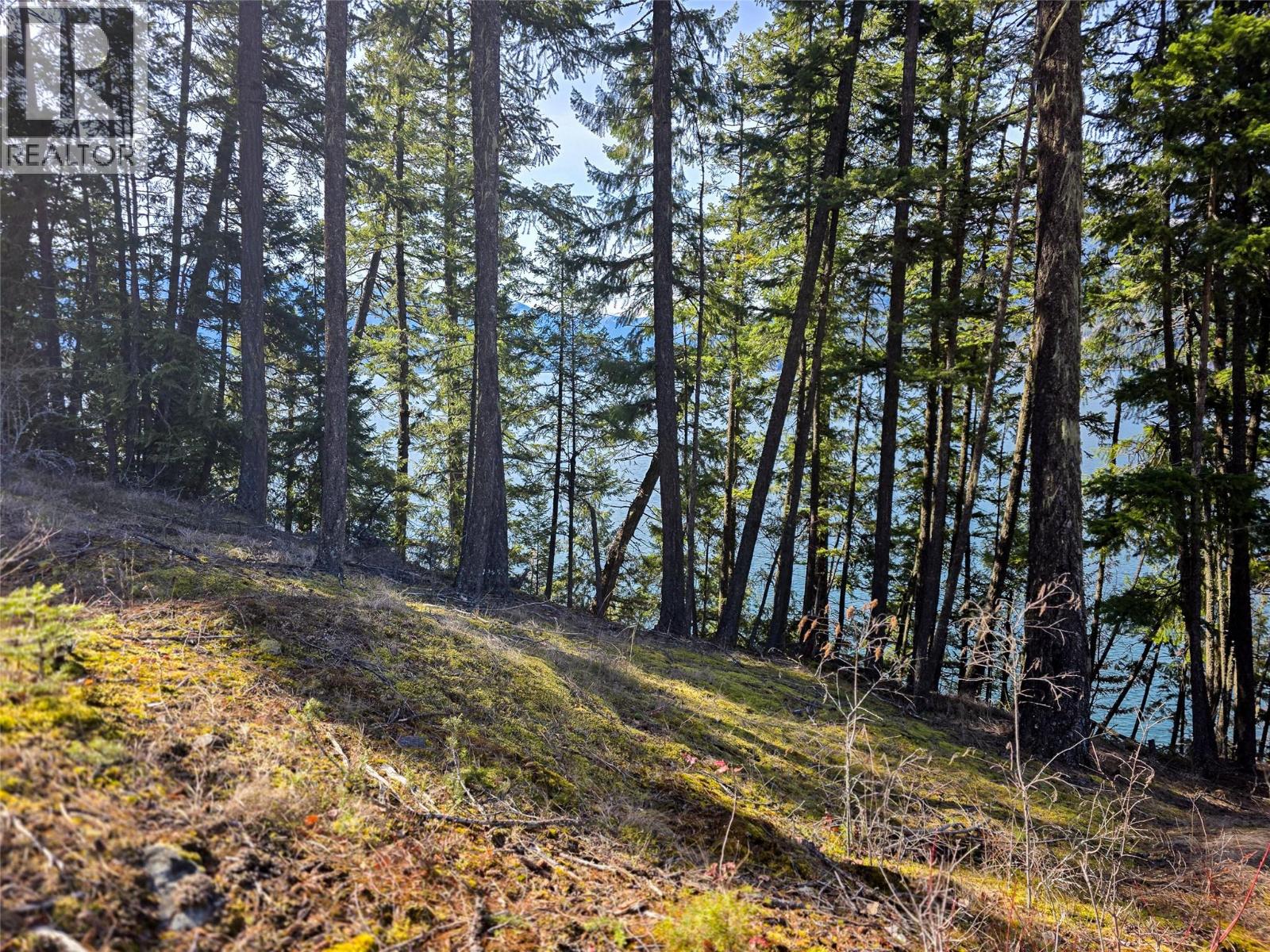 Lot 4 Walkers Lane, Kootenay Bay, British Columbia  V0B 1E0 - Photo 13 - 10380157