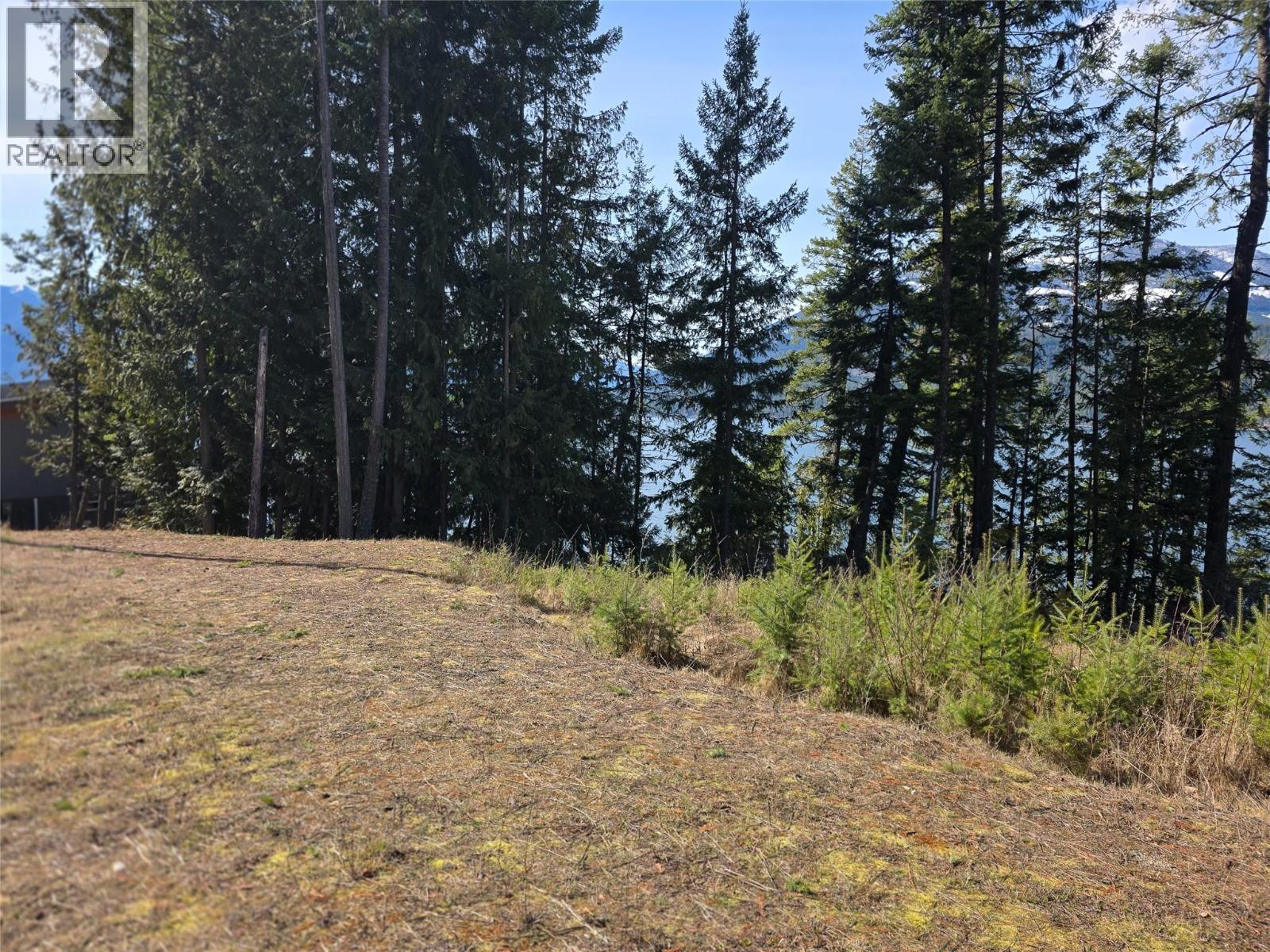 Lot 4 Walkers Lane, Kootenay Bay, British Columbia  V0B 1E0 - Photo 15 - 10380157