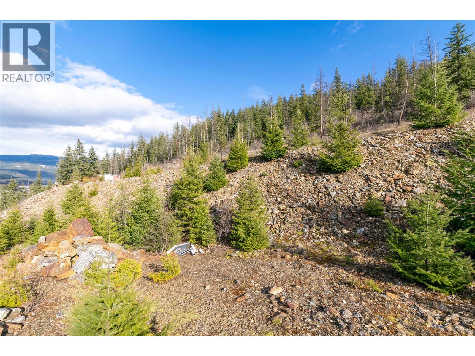 242 Stoneridge Drive, Sicamous, British Columbia  V0E 2V1 - Photo 3 - 10376970