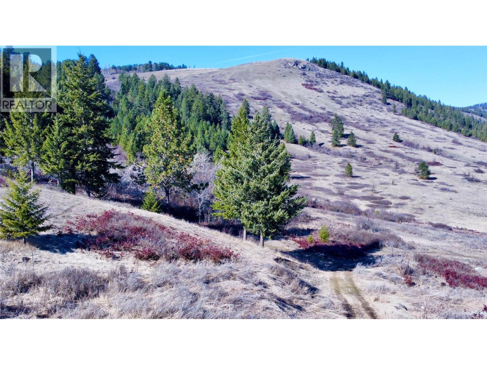 3775 Hardy Mountain Road, Grand Forks, British Columbia  V0H 1H2 - Photo 4 - 10380155