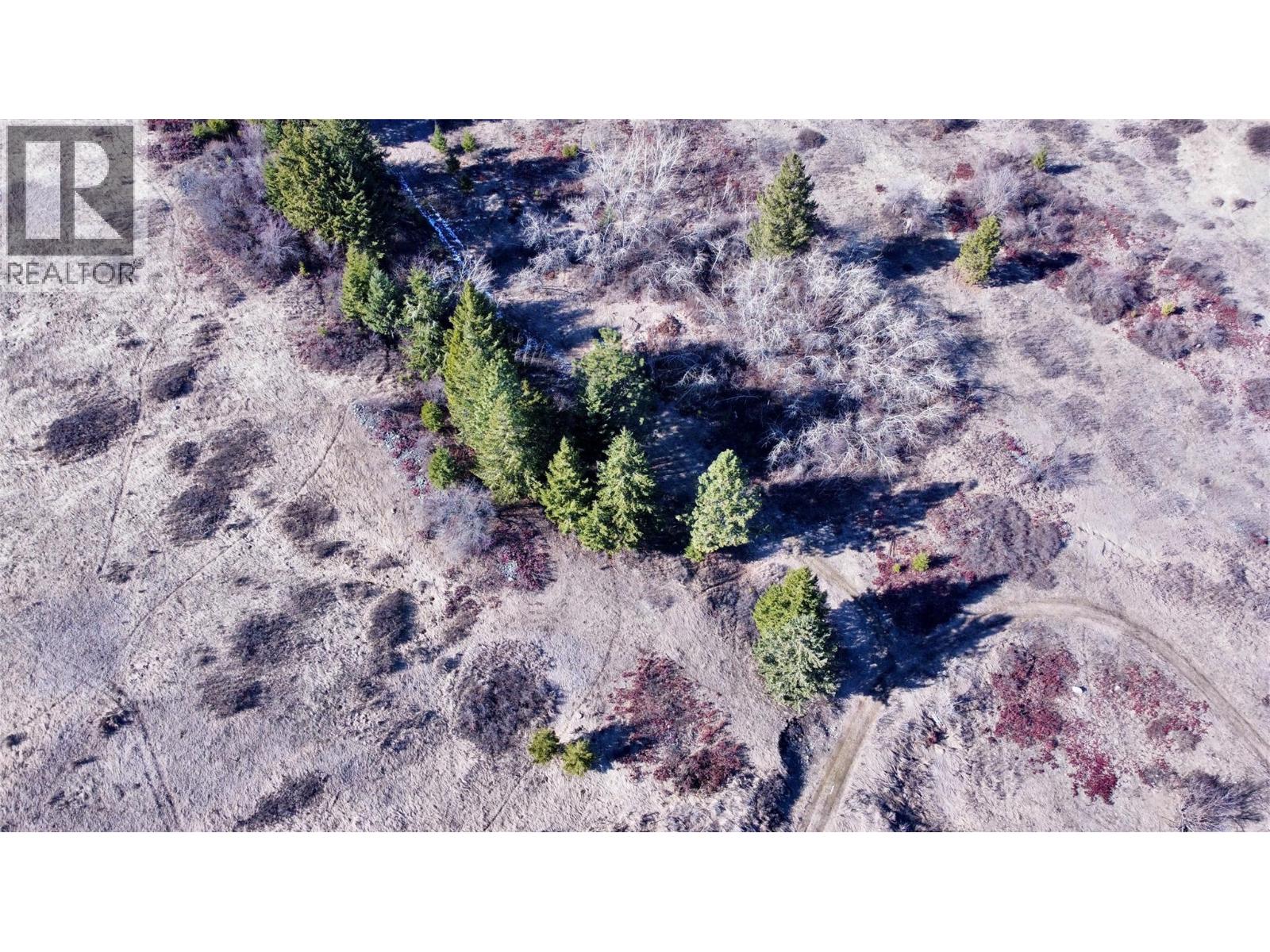 3775 Hardy Mountain Road, Grand Forks, British Columbia  V0H 1H2 - Photo 5 - 10380155