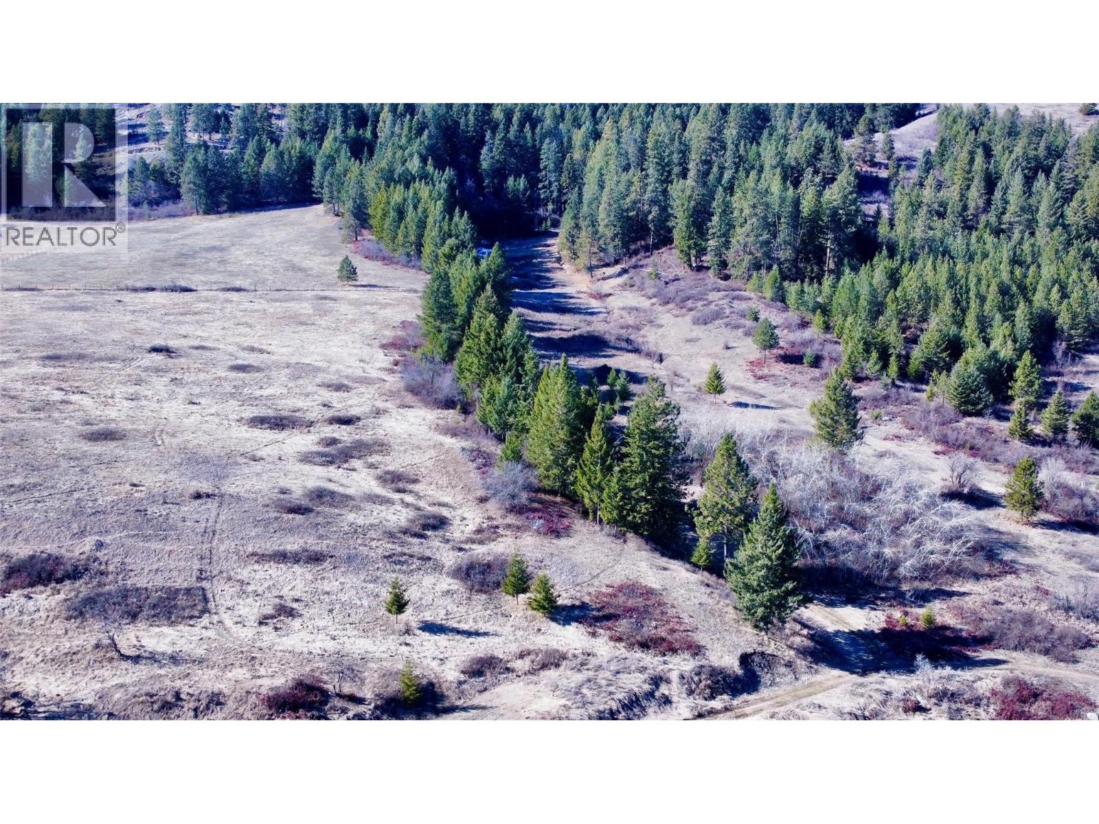 3775 Hardy Mountain Road, Grand Forks, British Columbia  V0H 1H2 - Photo 6 - 10380155