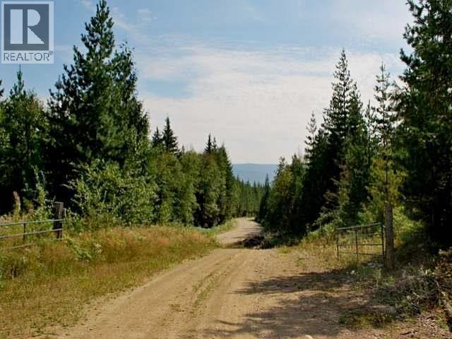 12595 Adams Lake West Forest Service Road, Adams Lake, British Columbia  V0E 2E0 - Photo 6 - 10380307
