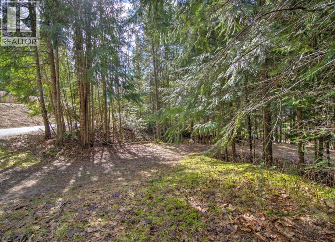 Lot 9 Bayview Road, Nakusp, British Columbia  V0G 1R1 - Photo 2 - 10380315