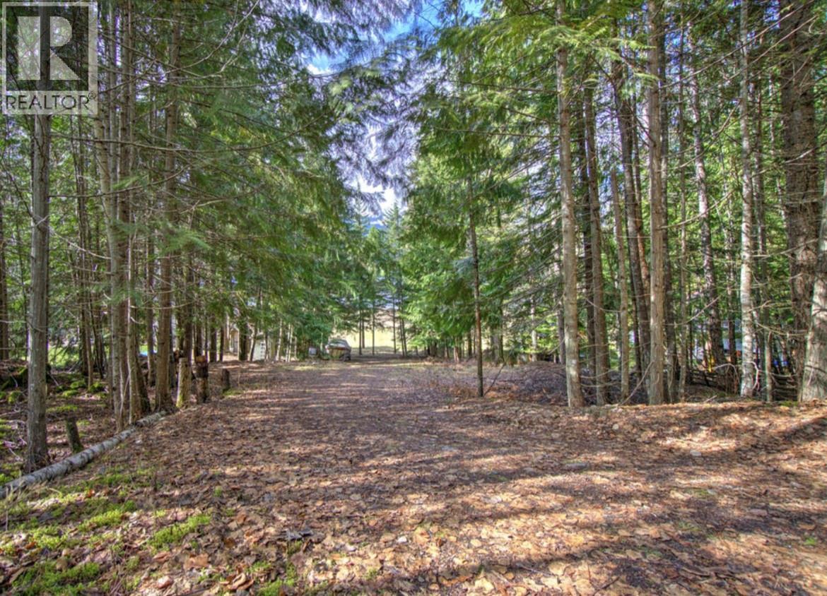Lot 9 Bayview Road, Nakusp, British Columbia  V0G 1R1 - Photo 3 - 10380315