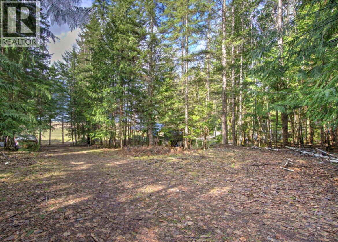 Lot 9 Bayview Road, Nakusp, British Columbia  V0G 1R1 - Photo 4 - 10380315