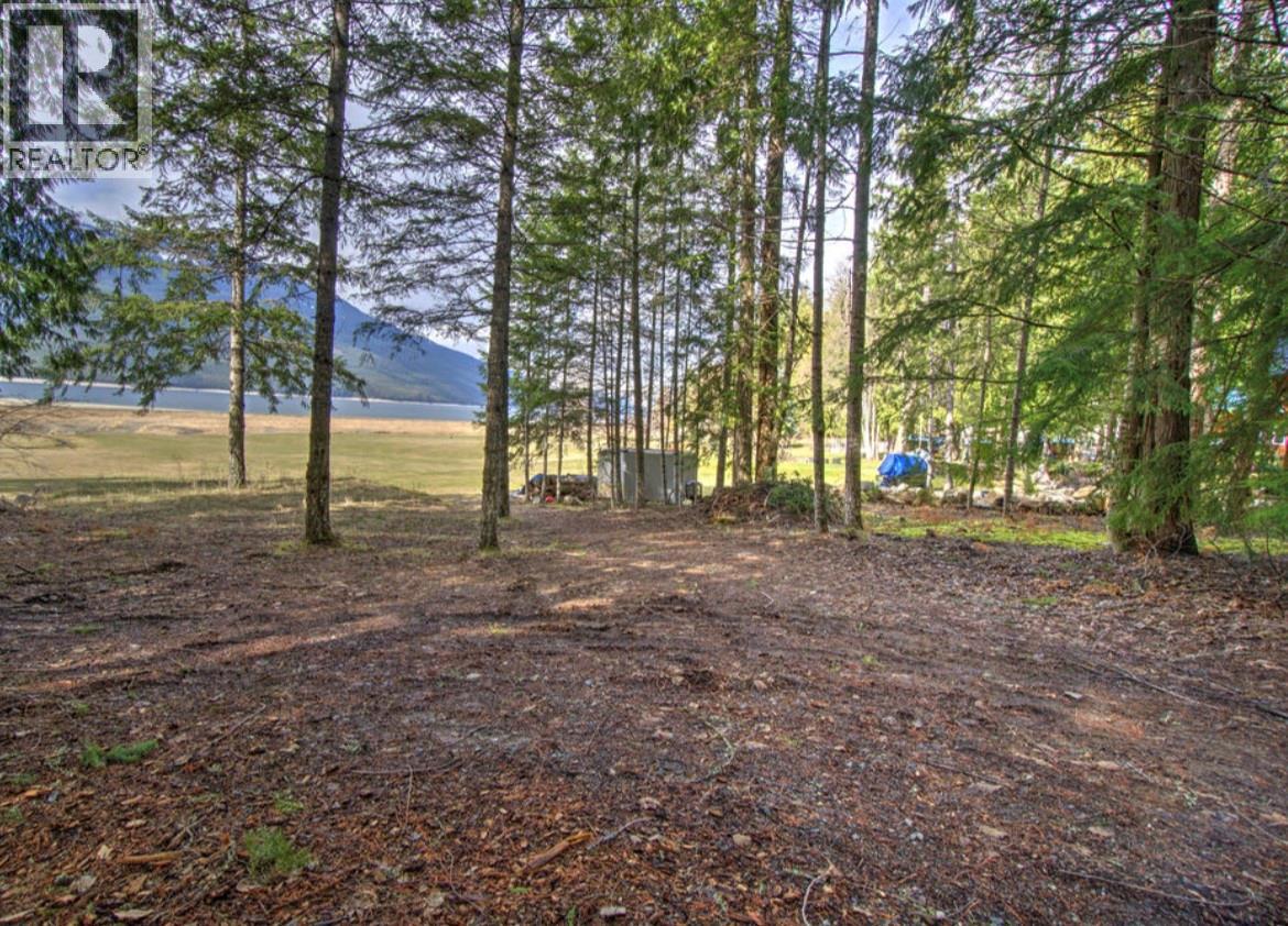 Lot 9 Bayview Road, Nakusp, British Columbia  V0G 1R1 - Photo 5 - 10380315
