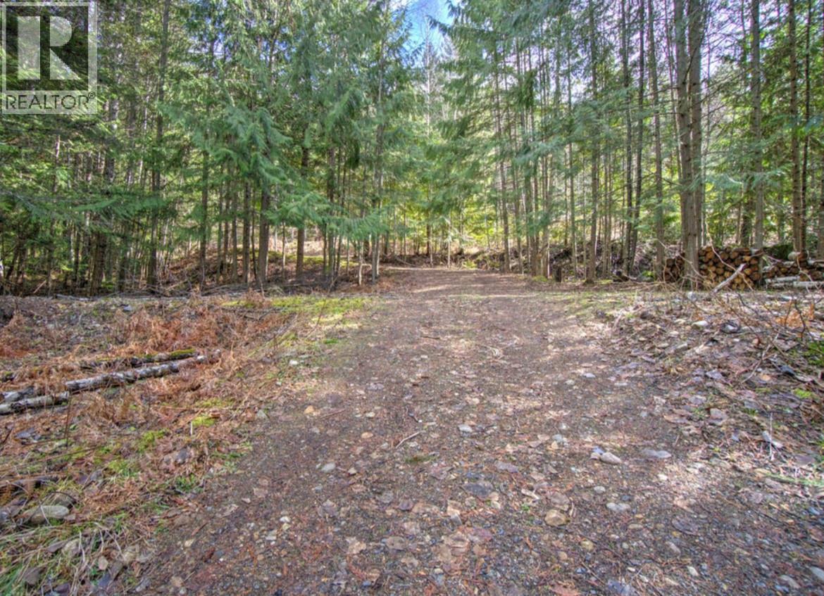 Lot 9 Bayview Road, Nakusp, British Columbia  V0G 1R1 - Photo 6 - 10380315
